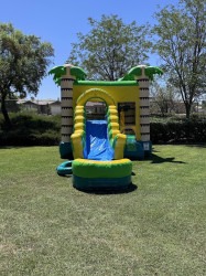 IMG 2883 1755475643 Jungle Combo - Front Slide (Wet or Dry)
