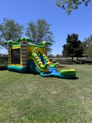 IMG 2886 1755475644 Jungle Combo - Front Slide (Wet or Dry)