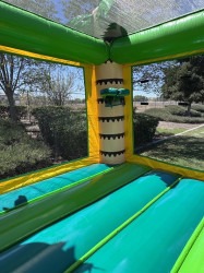 IMG 2888 1755475644 Jungle Combo - Front Slide