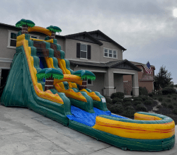 19 Foot Cali Palm Slide